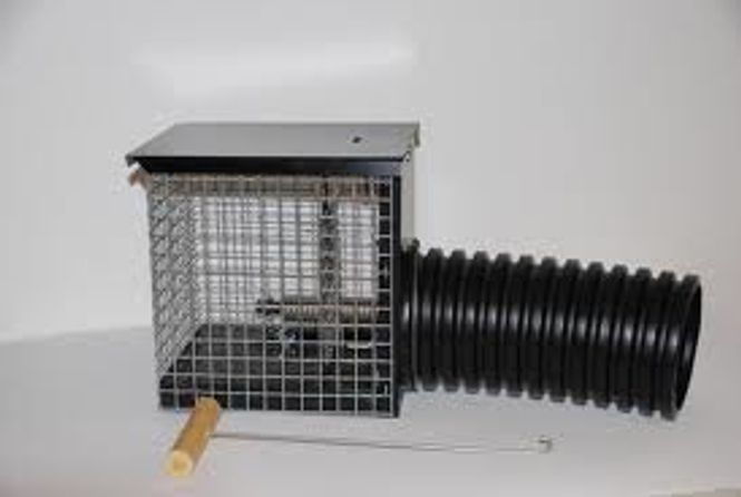 Hovedbilde MÅR SYNINGFELLA ...