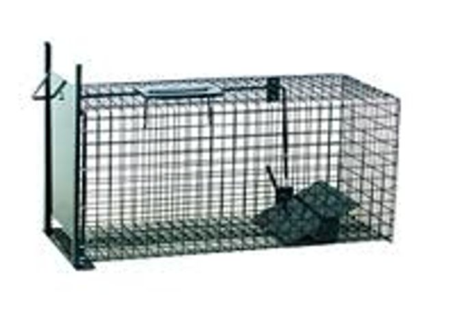 Hovedbilde KATTEFELLE/ MINKFELLE