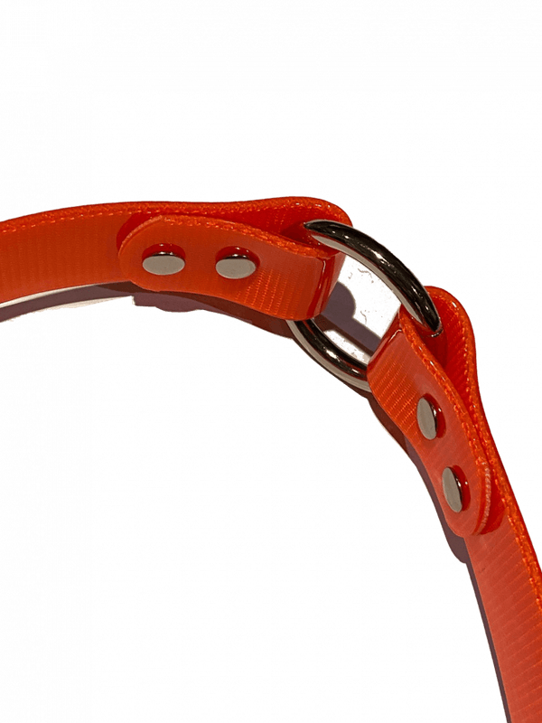 BRUNST HALSBÅND NYLON