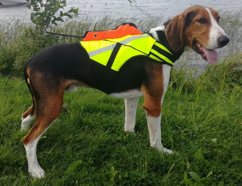 KARDOG RAIPE GPS VEST