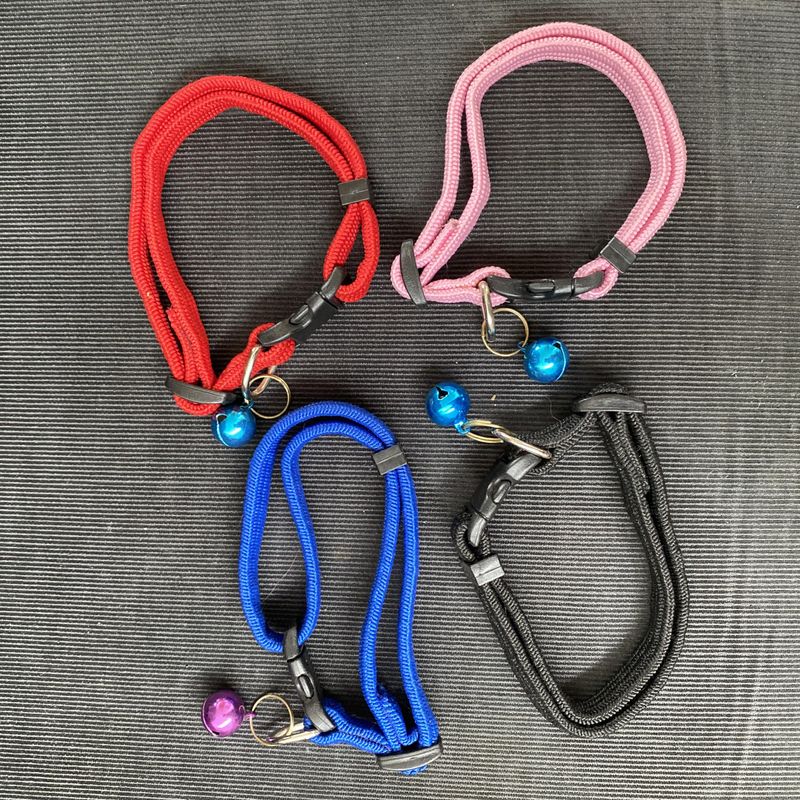 4 pakk valp- kattehalsbånd med bjelle