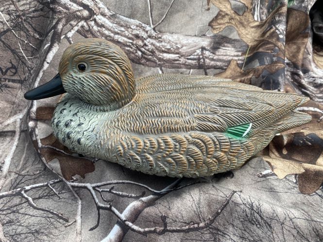 Hovedbilde KRIKKAND HUNN