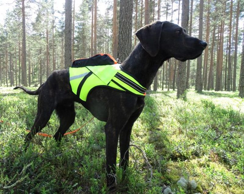 KARDOG JEHU GPS FLYTEVEST